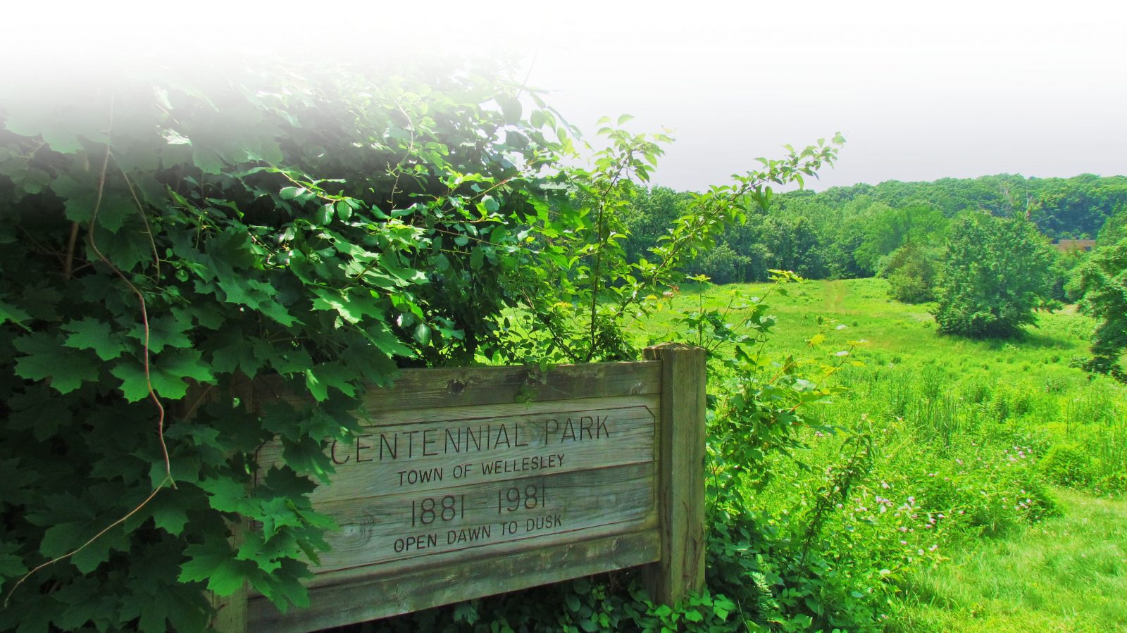 Centennial Park 2 Centennial Park 2